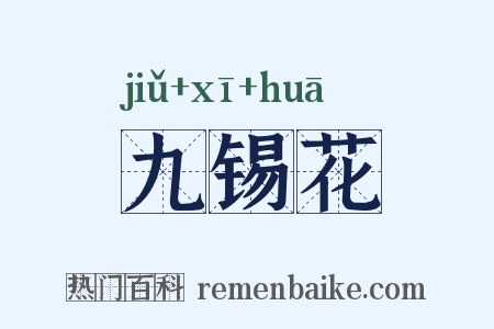 九锡花是什么意思的图片